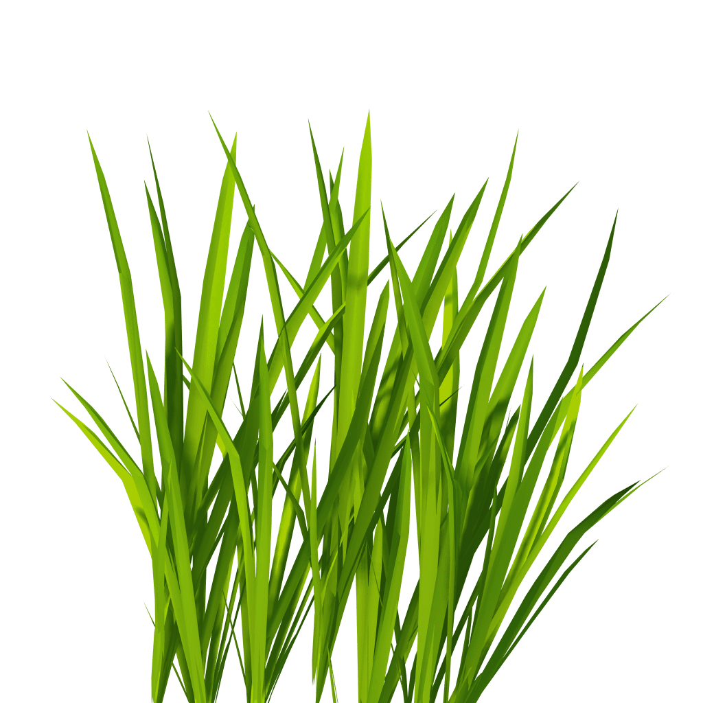 Grass pin page clipart image