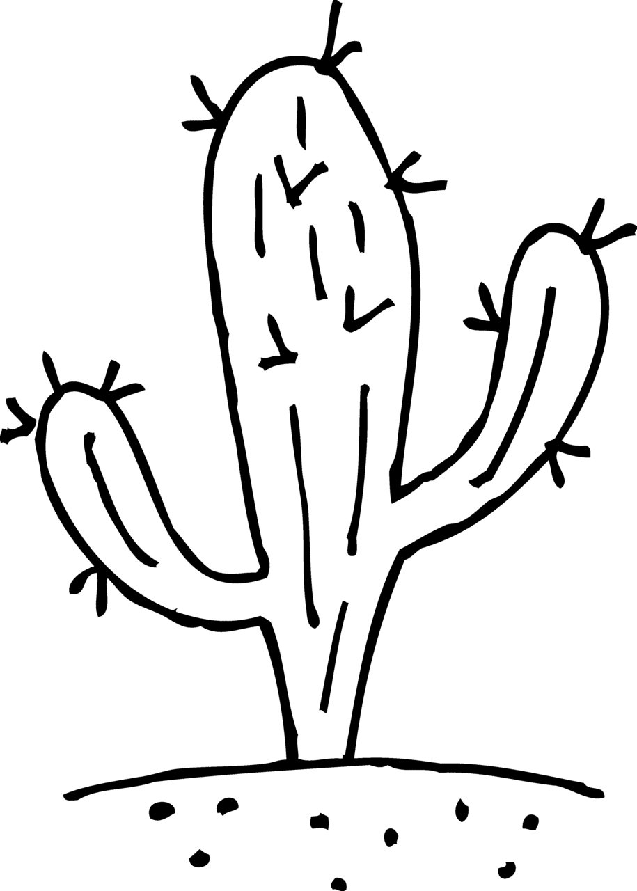 Cactus cactaceae clipart clip art