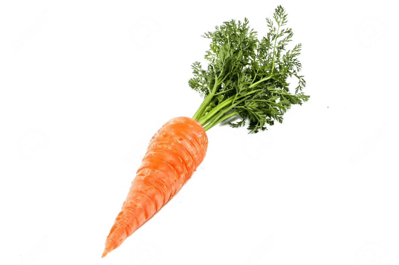 Single carrot clipart picture