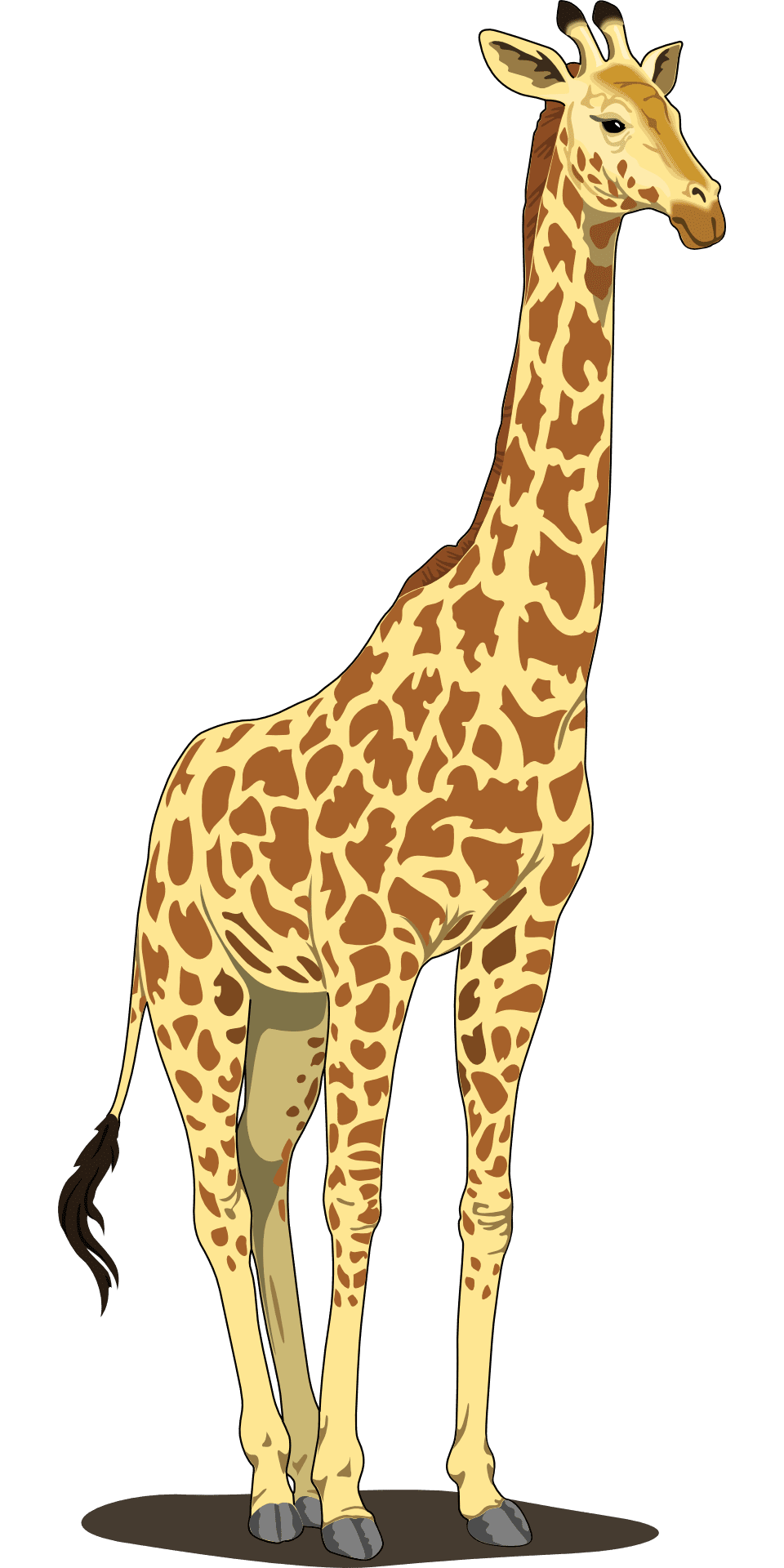 Giraffe my pattern images pictures art clipart