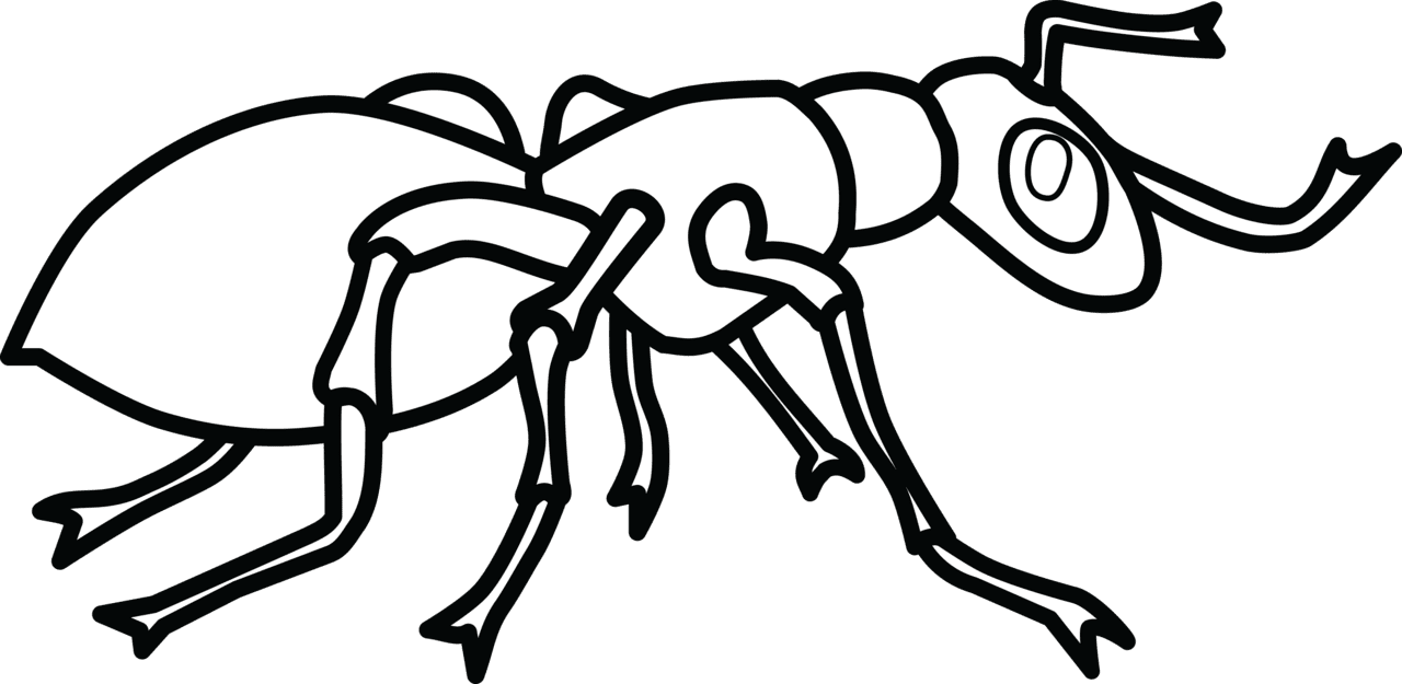 Ant clipart background