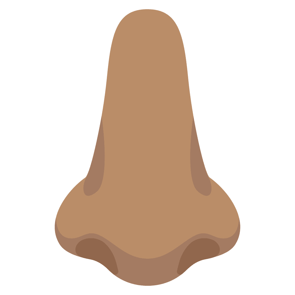 Nose medium skin tone emoji clipart vector