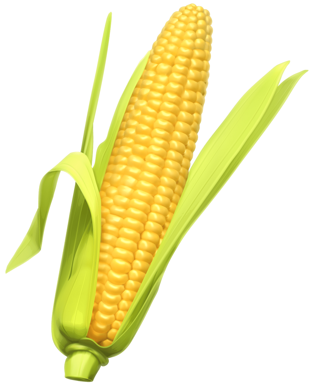 Corn the cob maize vegetable clipart clip art