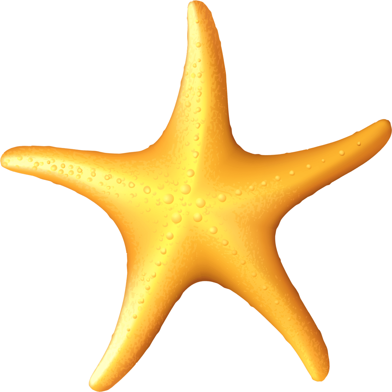 Sea star clipart starfish image with no background