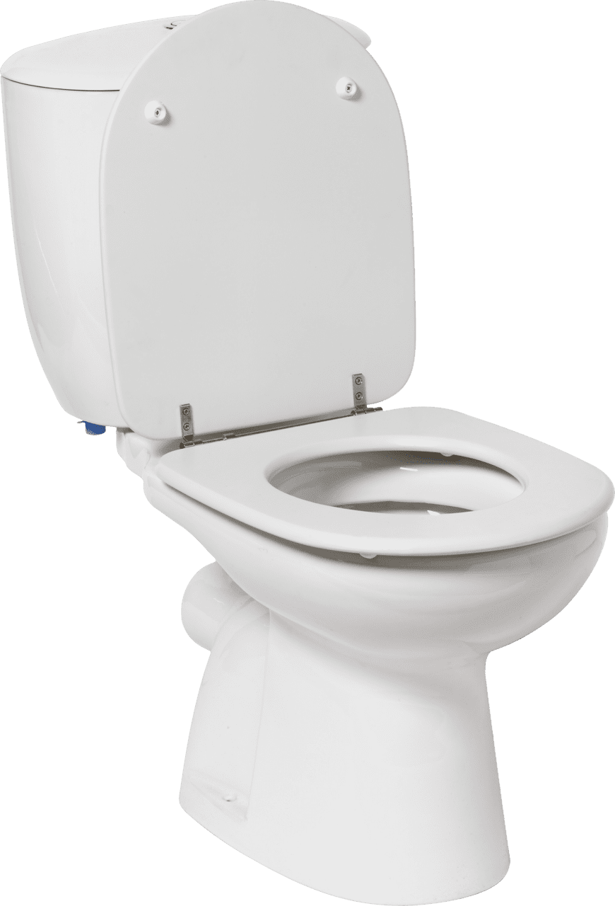 Toilet clipart vector