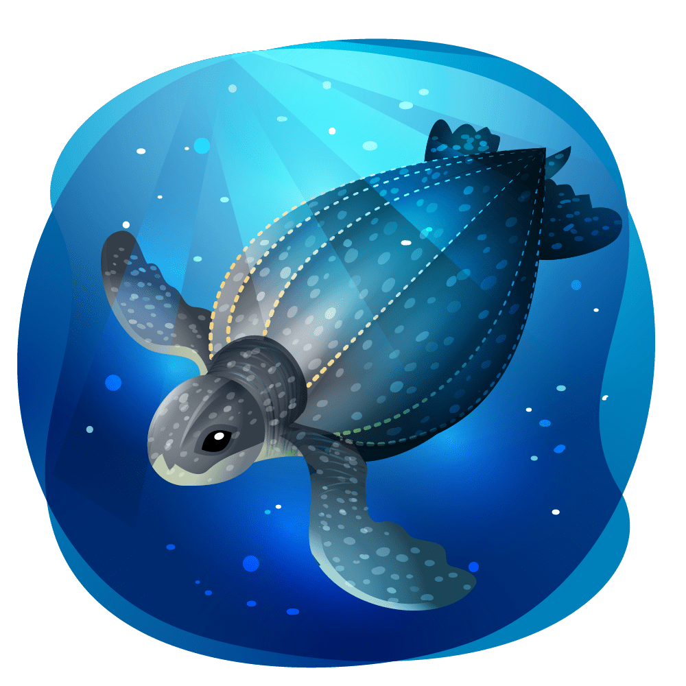 Sea turtle bichos mexicanos vectores de la fauna mexicana clipart