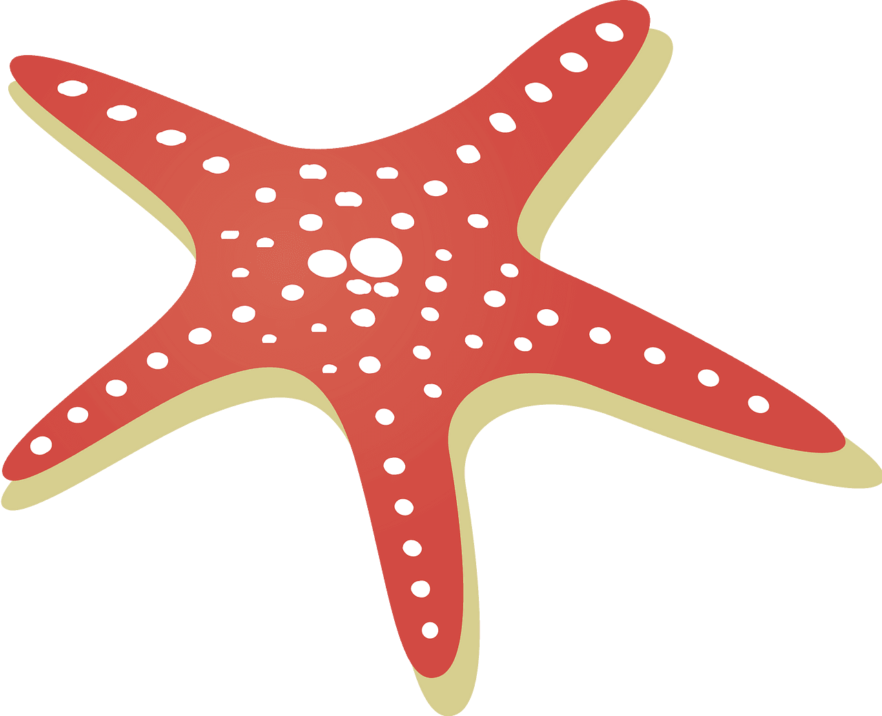 Starfish clipart images 3