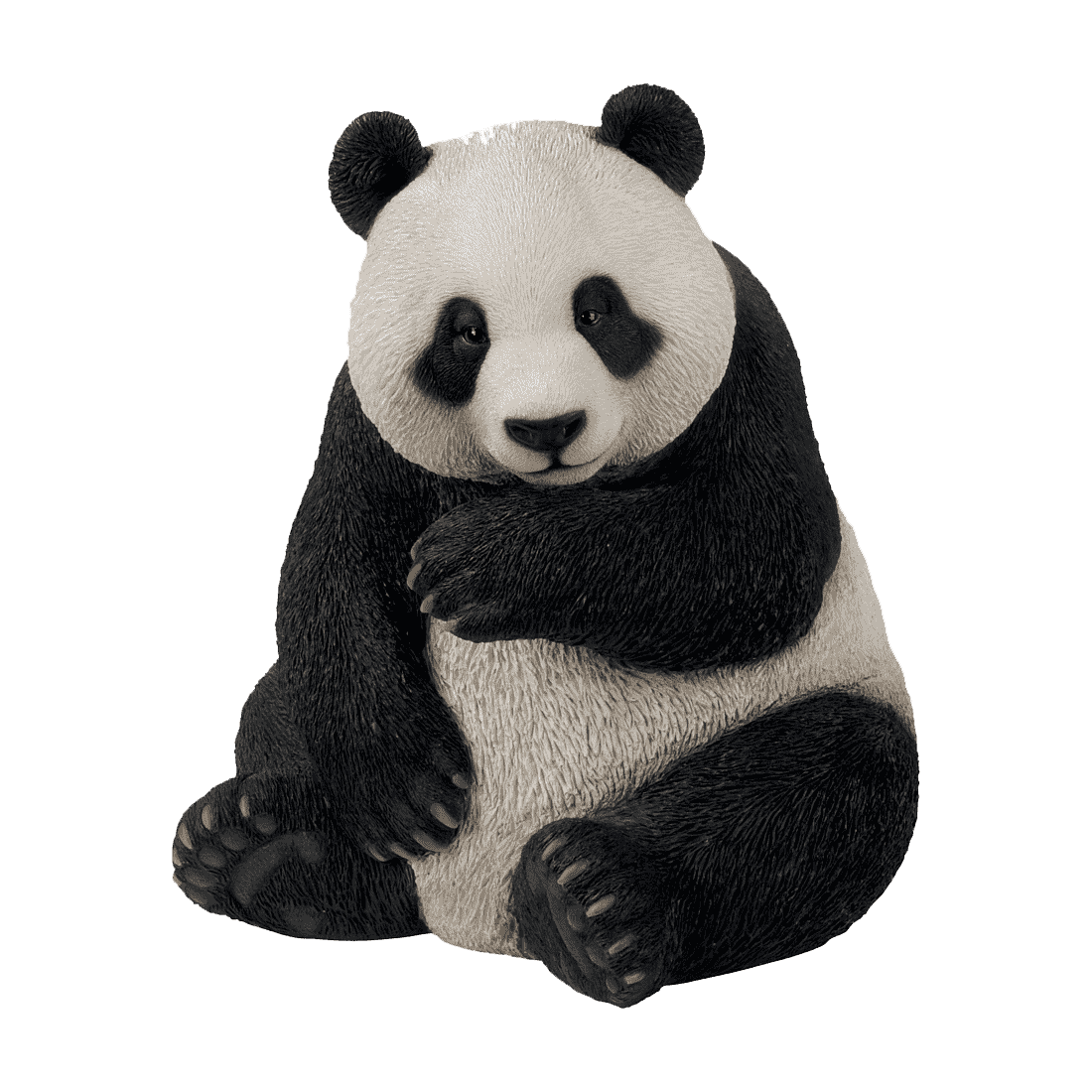 Giant panda bear images hd photo clipart