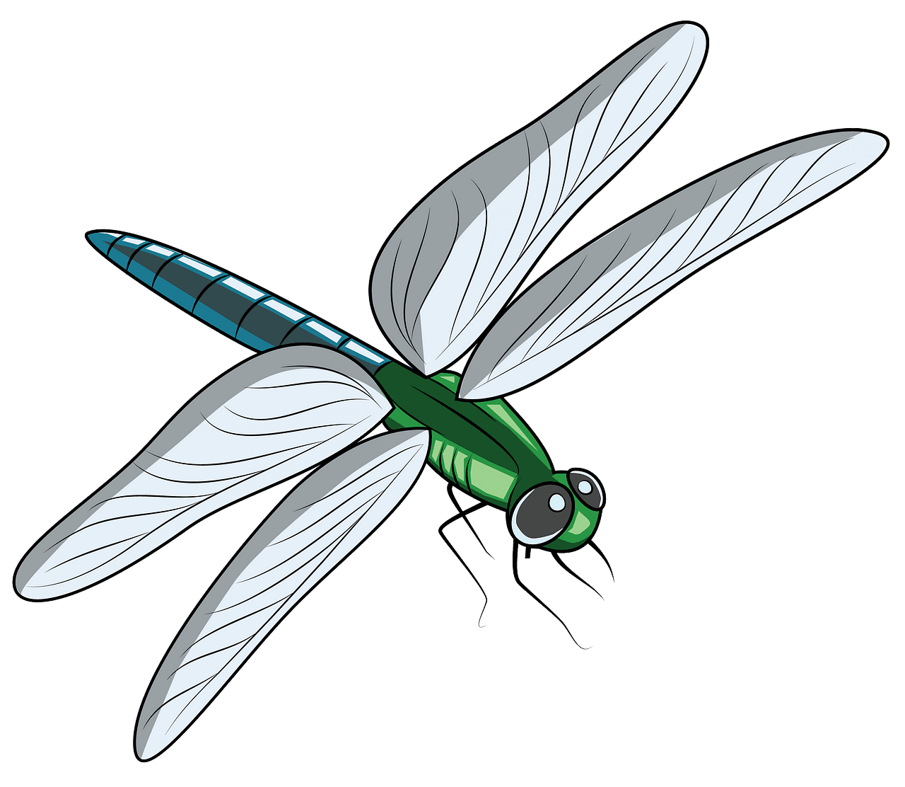 Image of dragonfly clipart