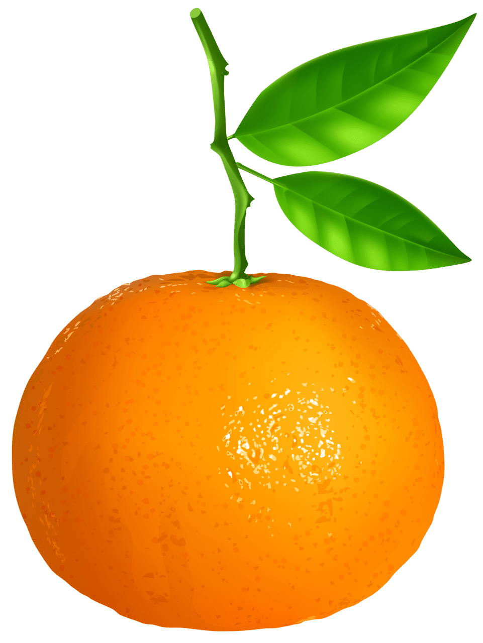 Orange tangerine clipart image