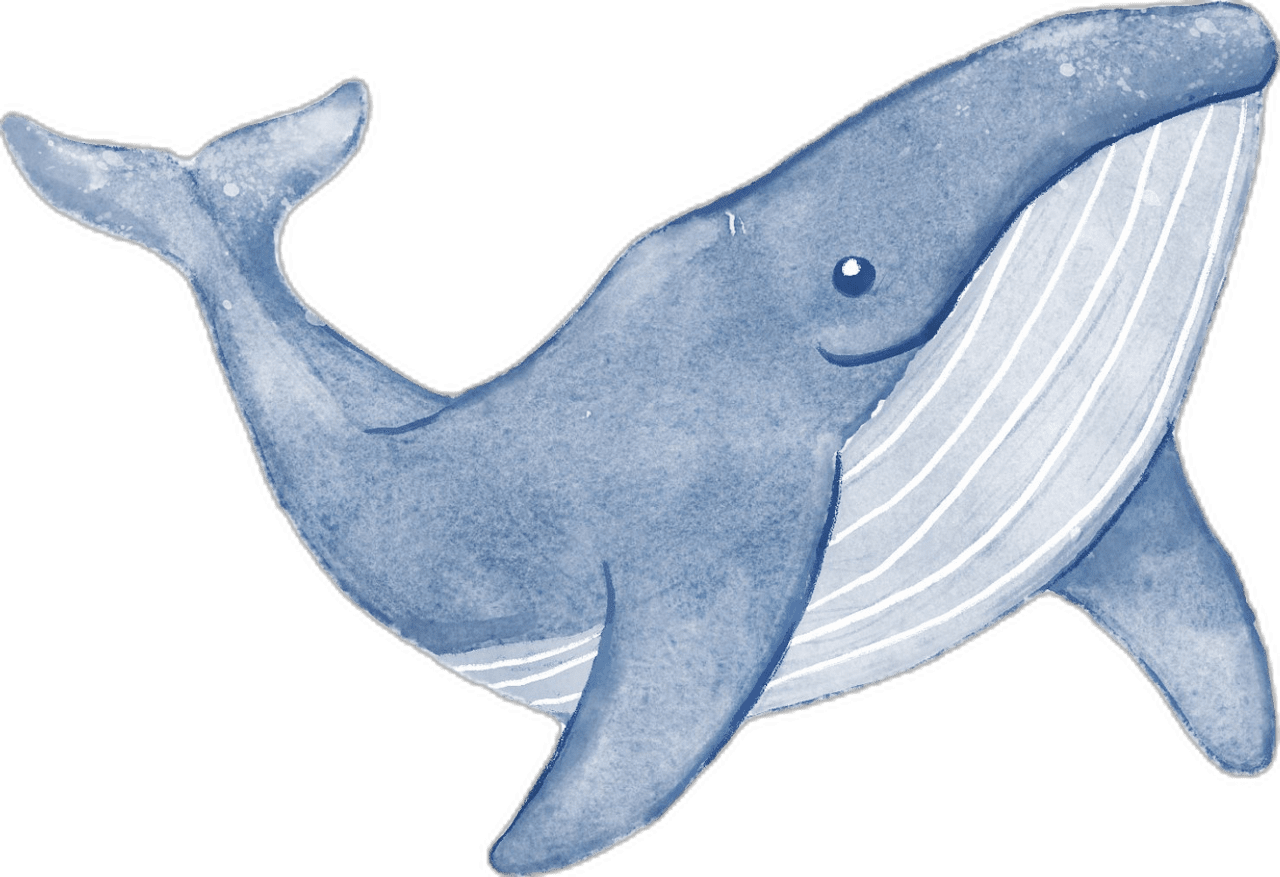 Dream big whale by lisa griff clipart vector