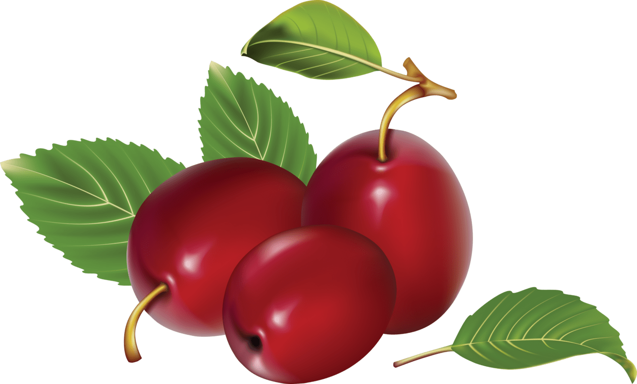 Cherry plum clipart free 3