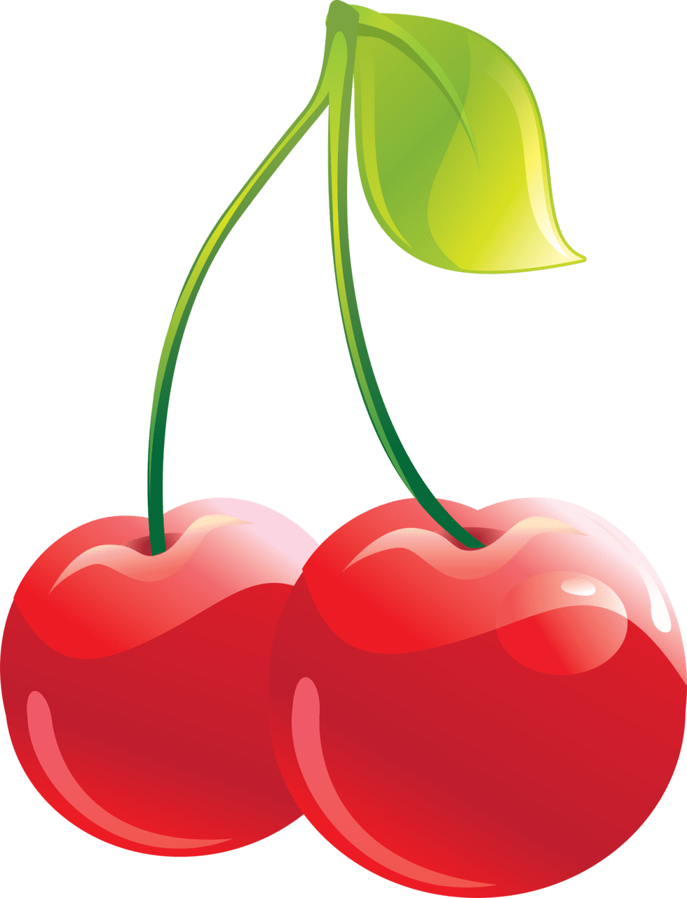 Cherry cherries clipart vector