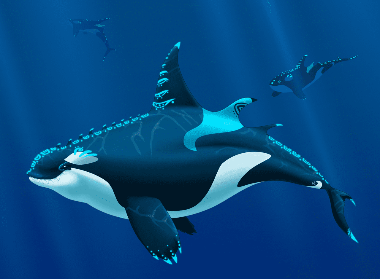 Whale orca tats by shayfifearts deviantart clipart photo