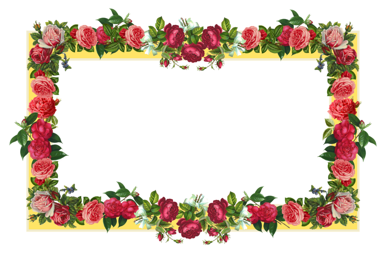 Flower border flowers borders plu clipart vector