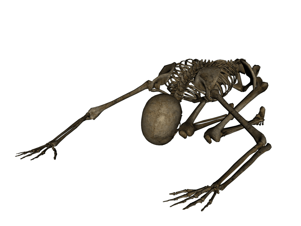 Skeleton pin page clipart picture