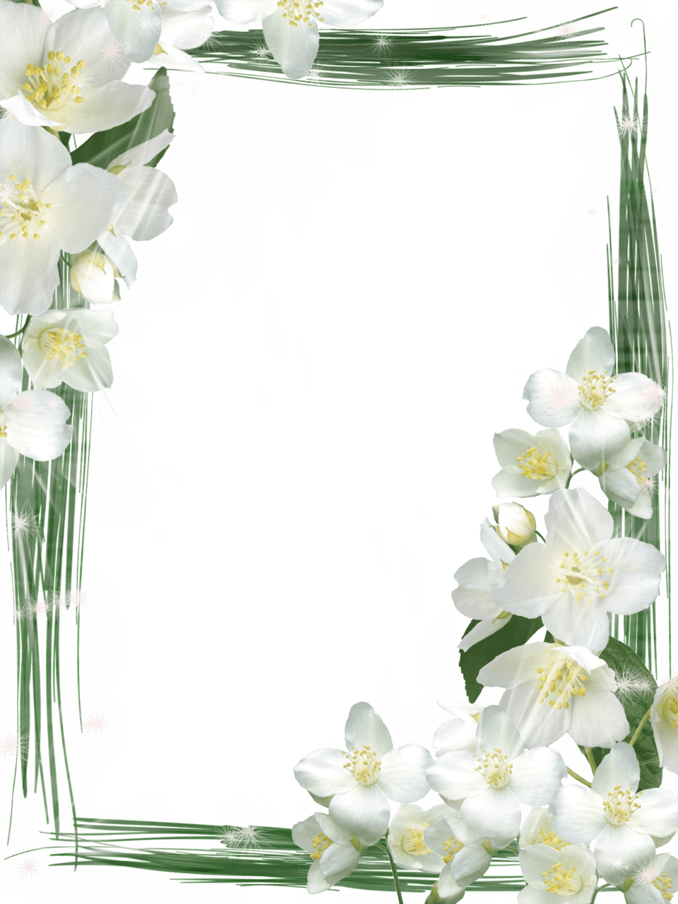 Flower border green frame with white flowers clipart free