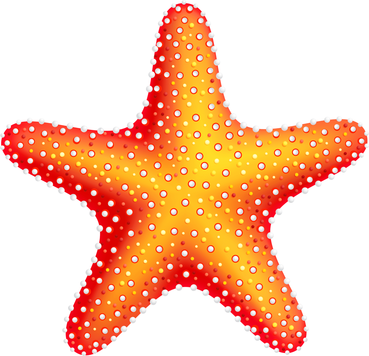 Hd starfish clipart image