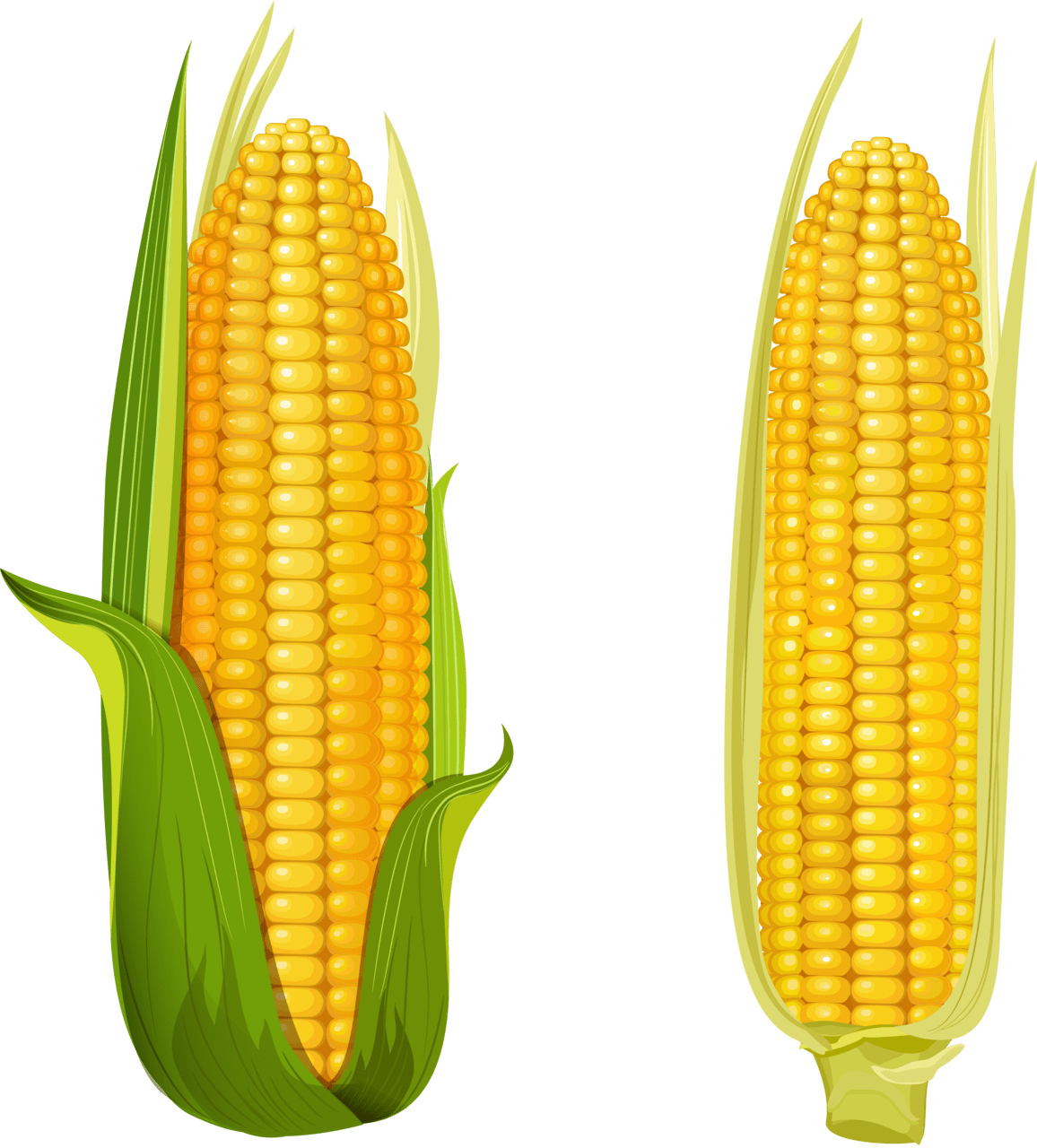 Corn pin page clipart background