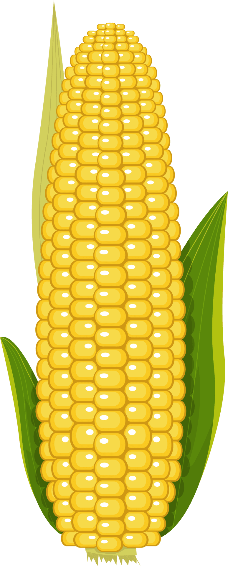 Corn clipart design logo