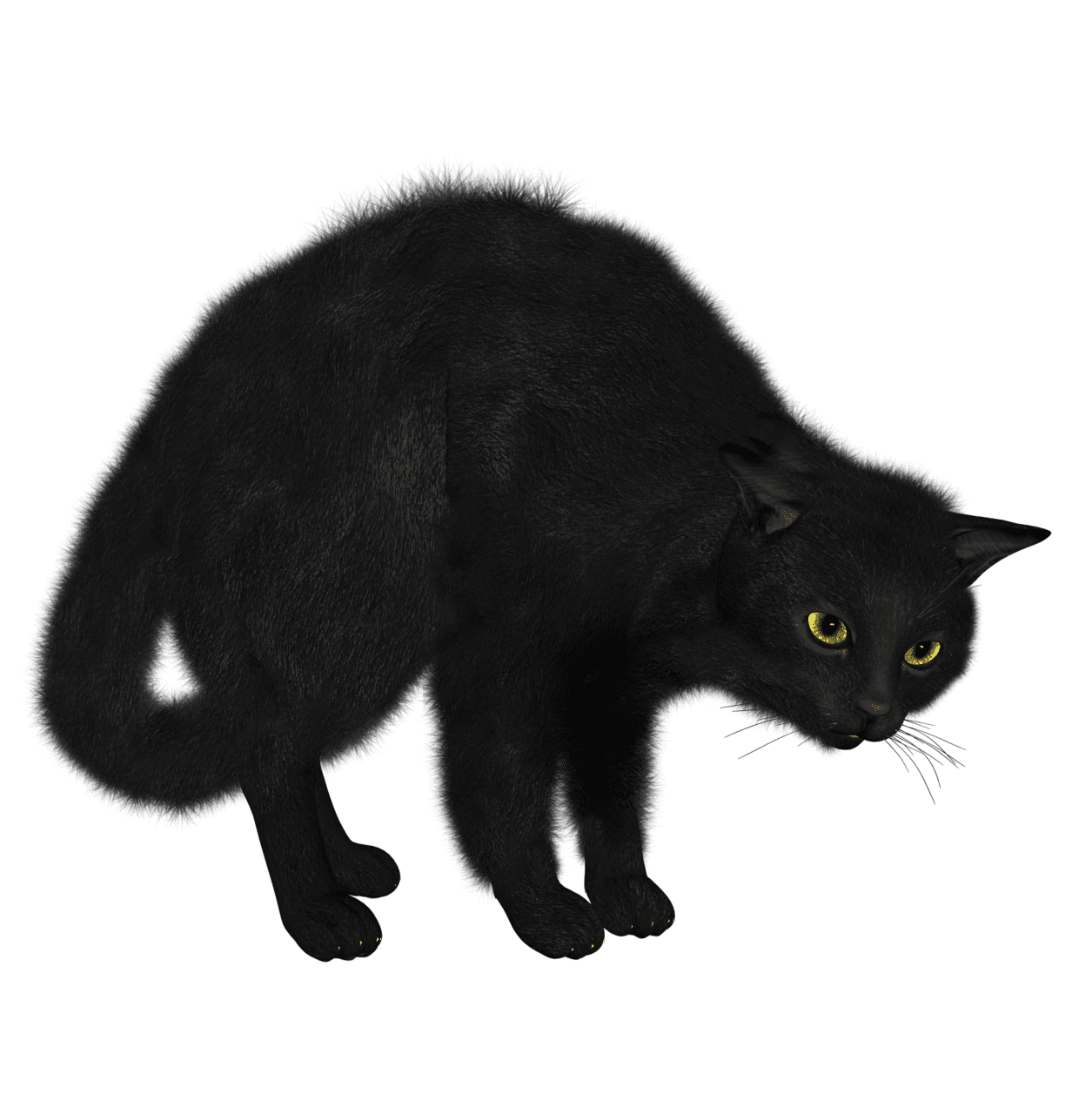 Black cat gato clipart vector