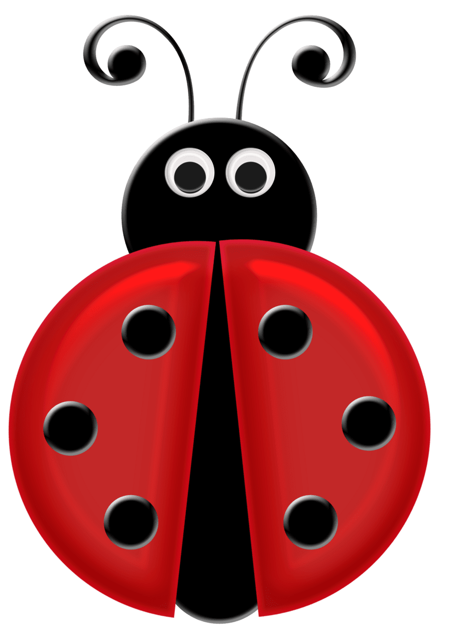 Ladybug imagen de mariquitas infantiles clipart