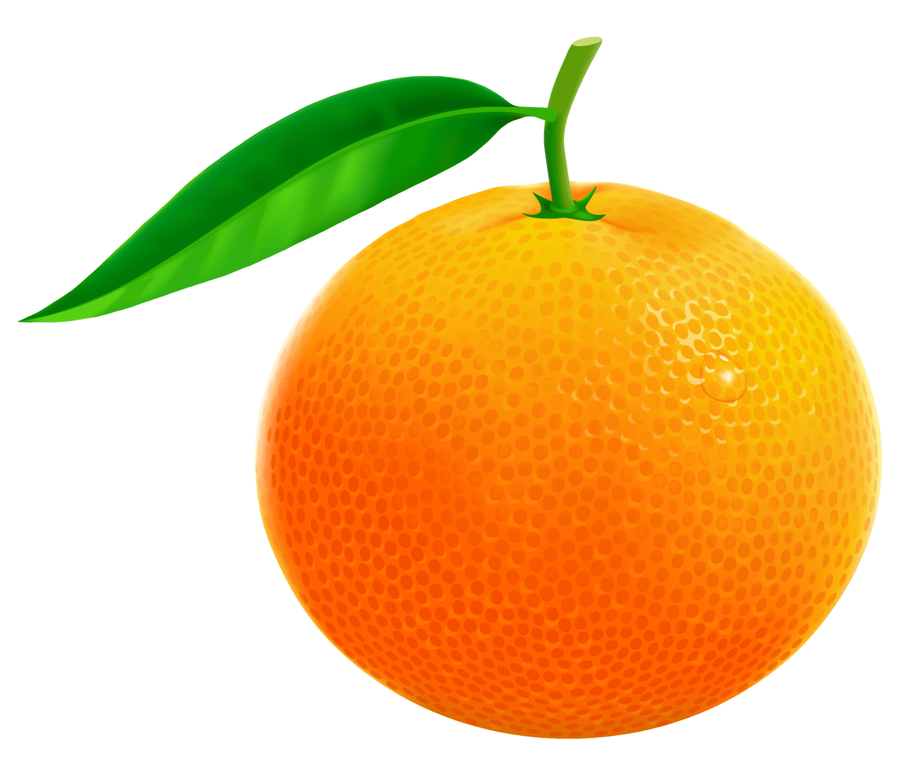 Orange vector clipart image high quality images and