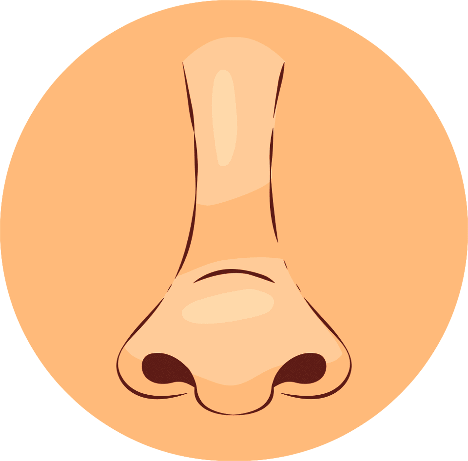 Nose digitally made clipart clip art