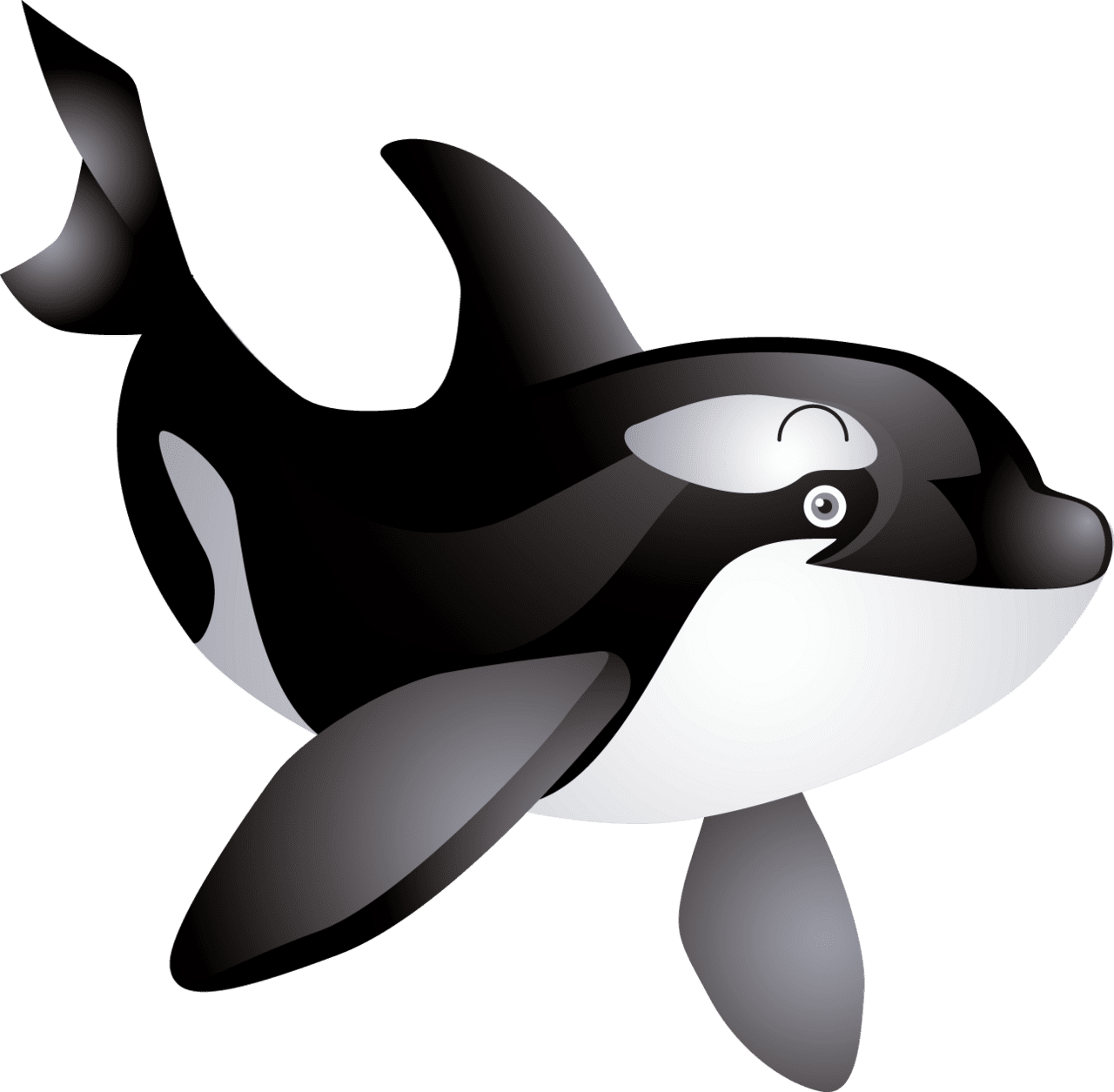 Whale pin page clipart photo 3