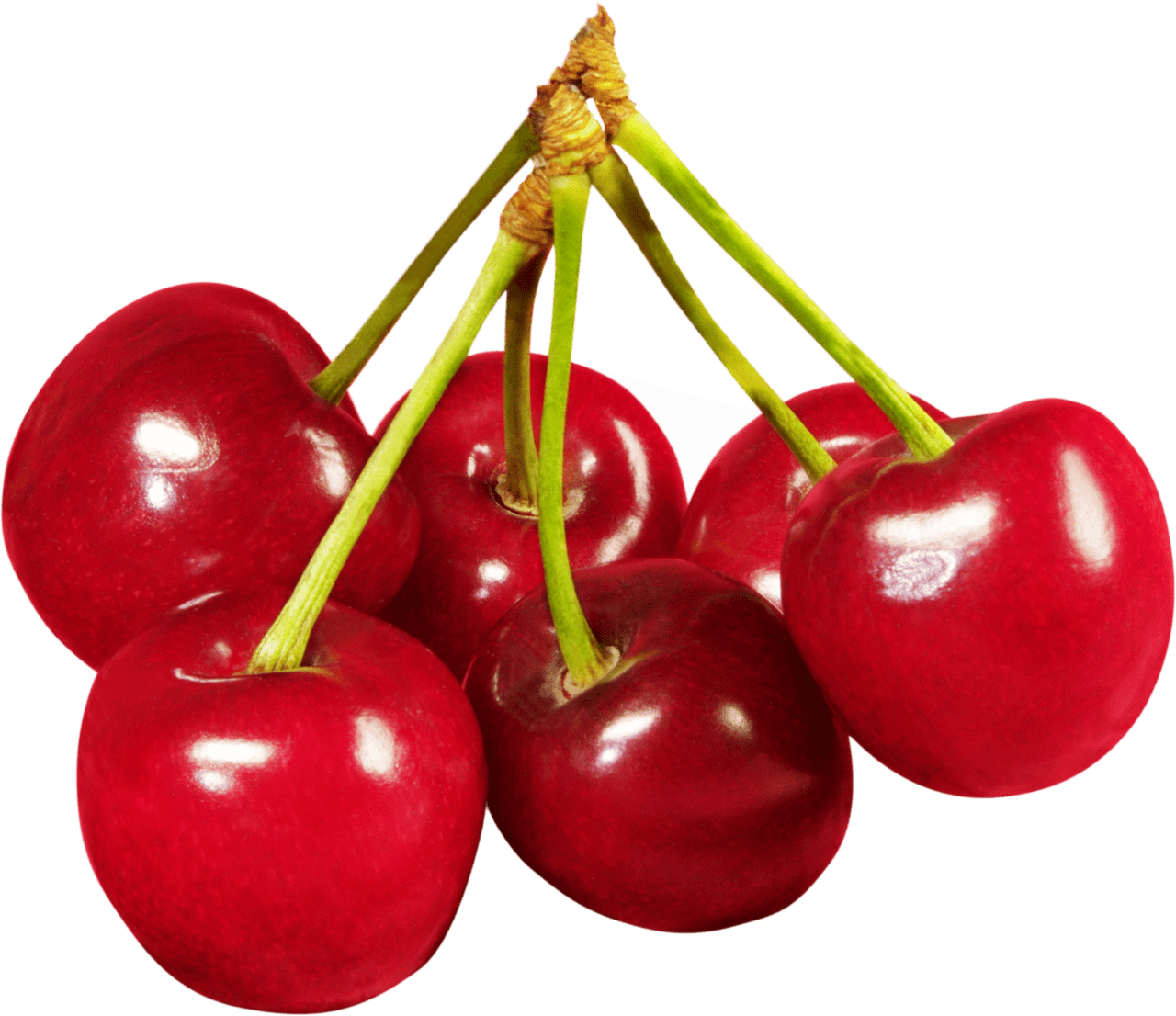 Cherry clipart vector 2