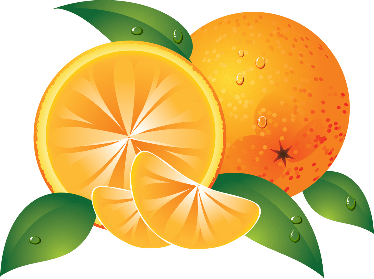 Orange drawing image size clipart