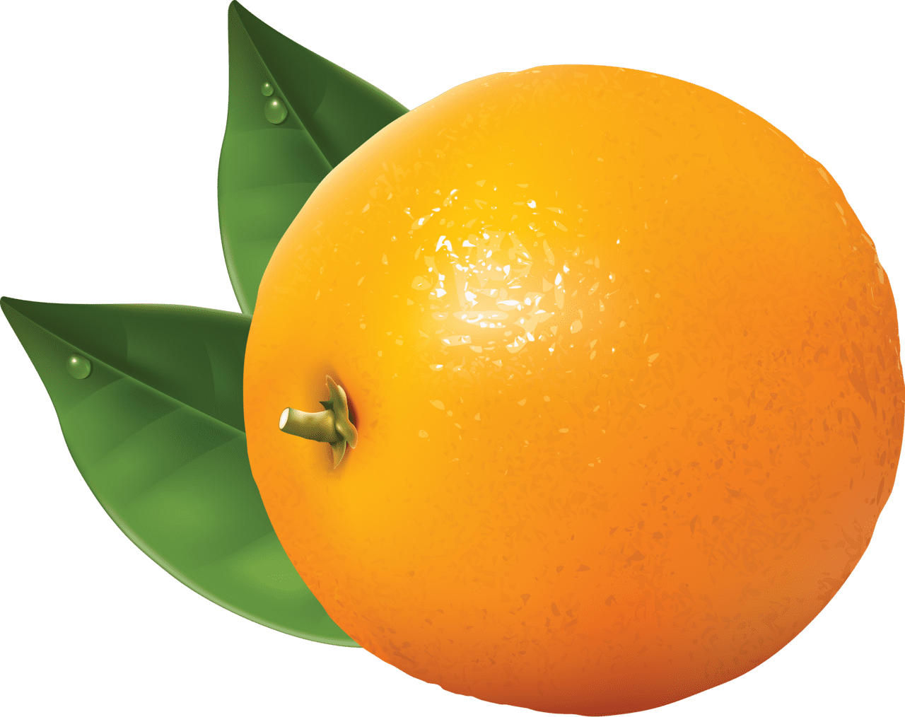 Orange image cc library clipart 3