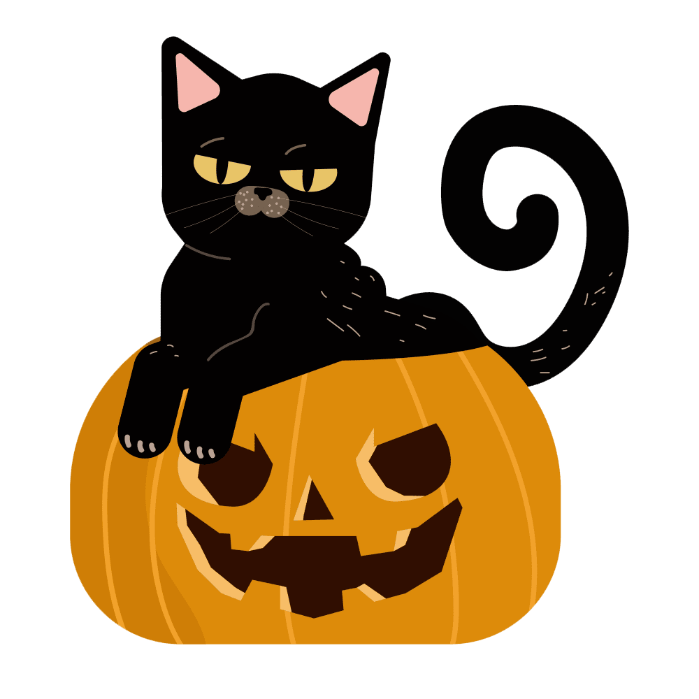 Cute halloween cat with pumpk images hd photo clipart