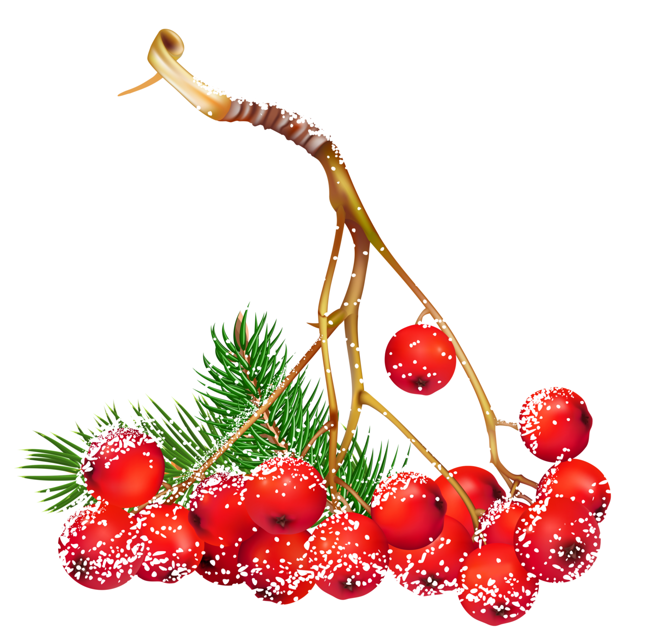 Holly tubes noel fleurs gui couronnes blog de ile kahlan clipart picture