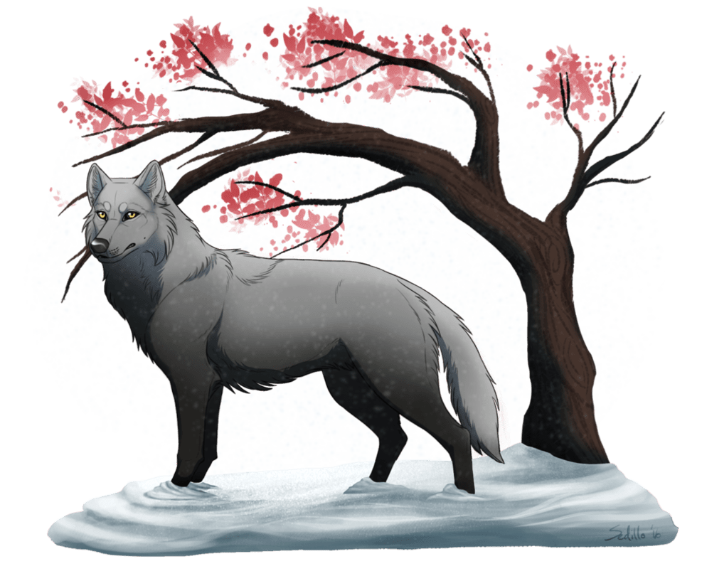 Wolf kiribian prize tawneeleaf by sedillio deviantart clipart clip art