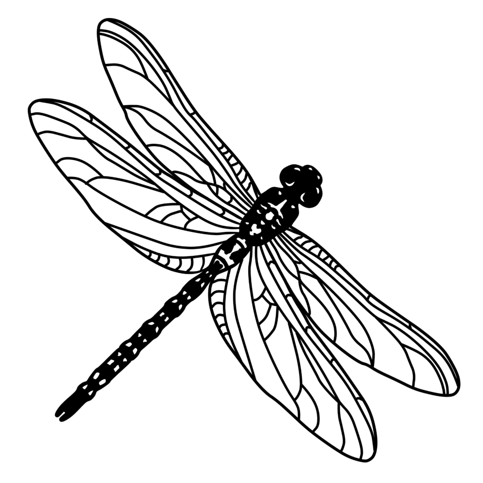 Dragonfly mello art street clipart vector