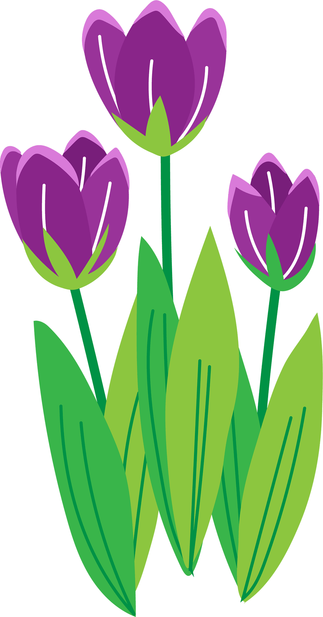 Spring flowers tulip flower purple color clipart logo