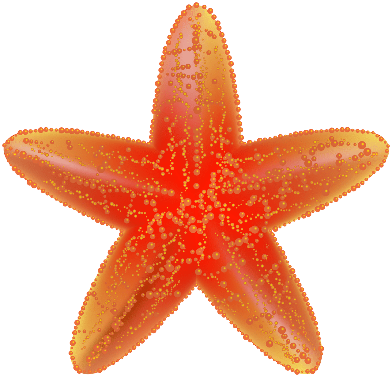 Beach starfish clipart high quality images and