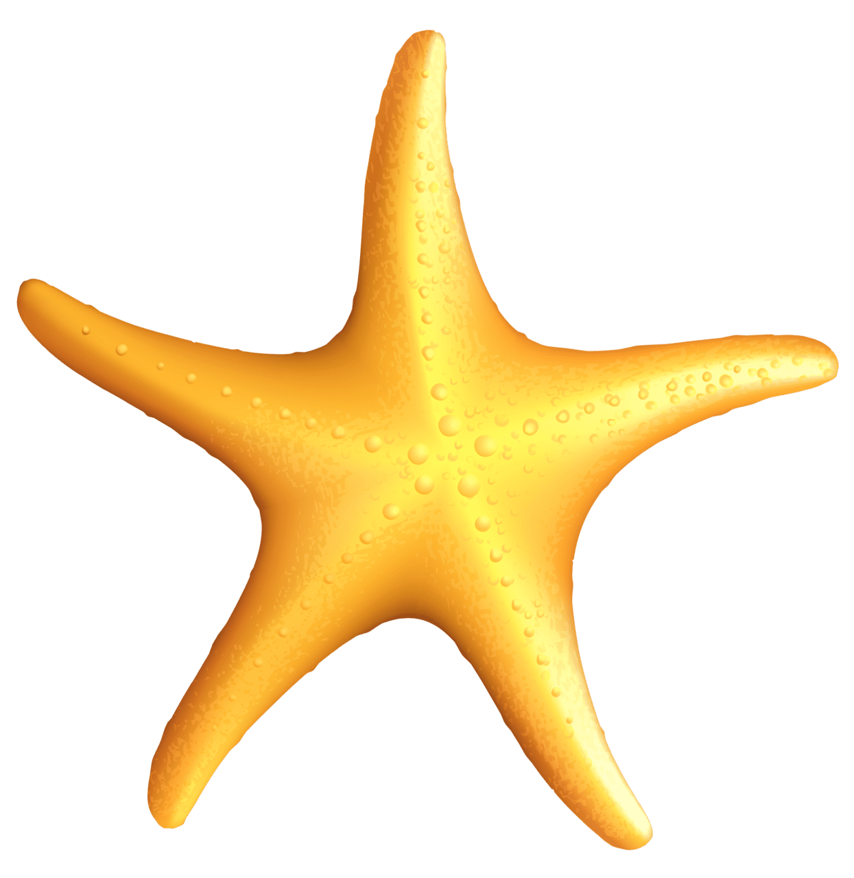 Clipart images of starfish