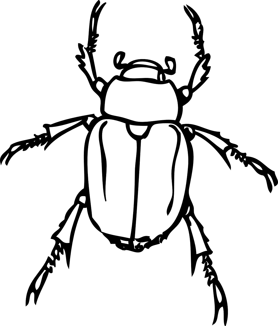 Beetle japanese june bug vector graphic clipart