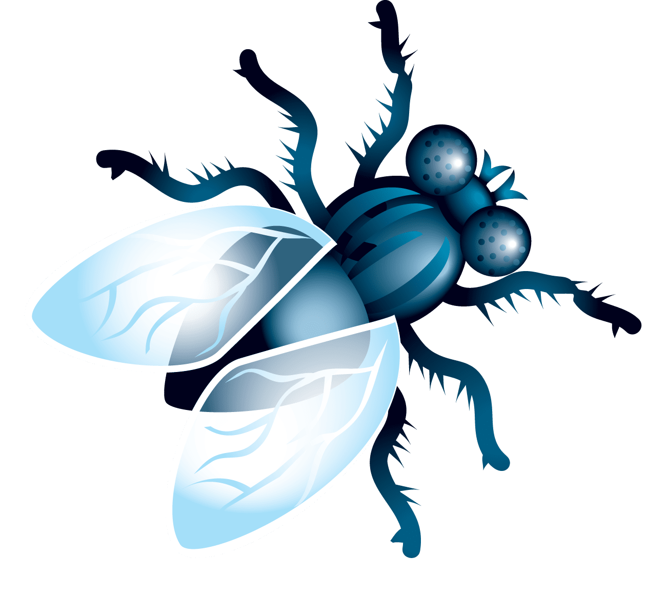 Bug fly clipart background