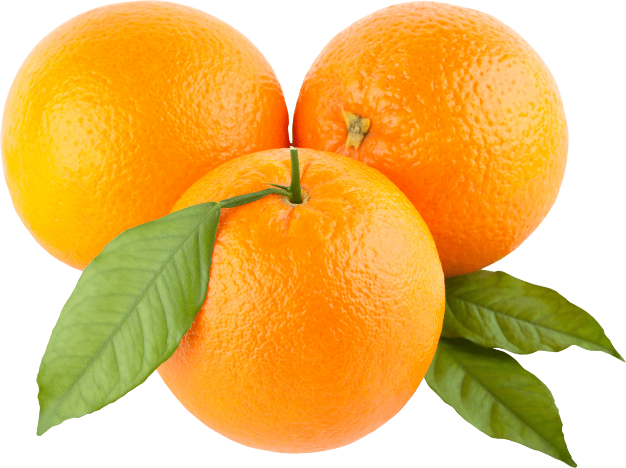 Three orange with leaves image size clipart