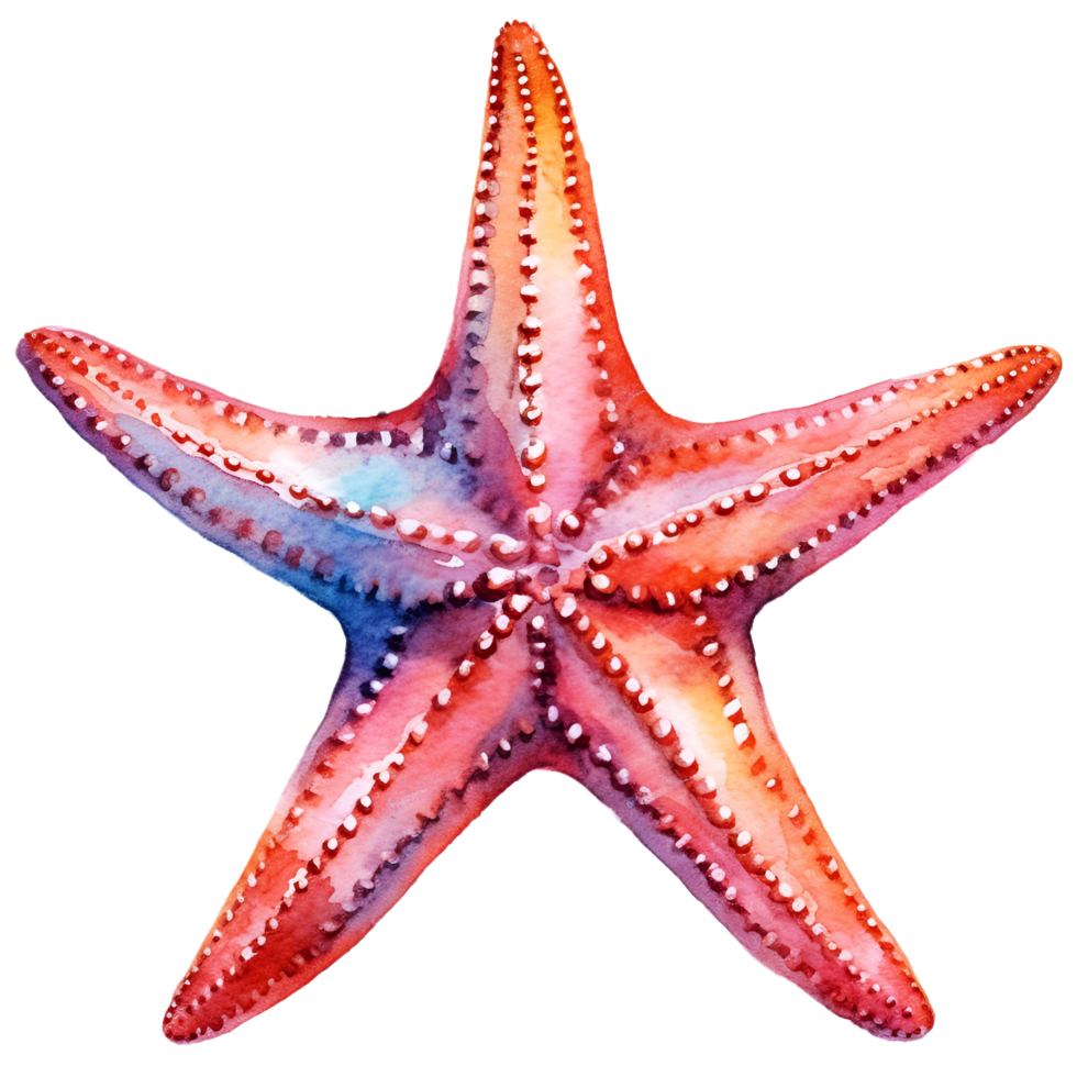 Starfish waters poster art pr clipart photo