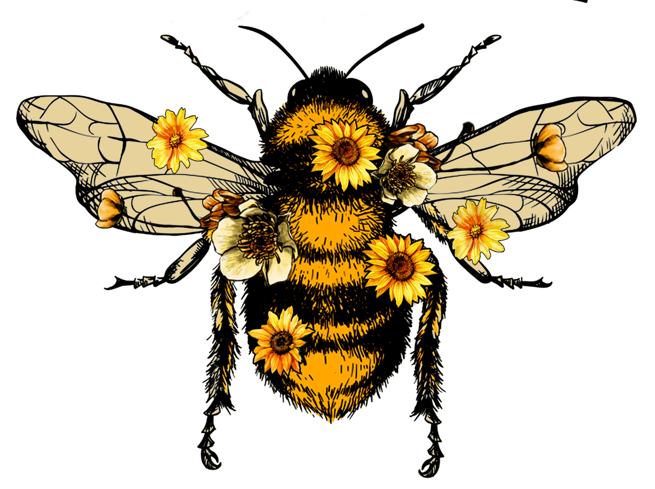 Bumblebee pin abejas bee art vintage clipart image