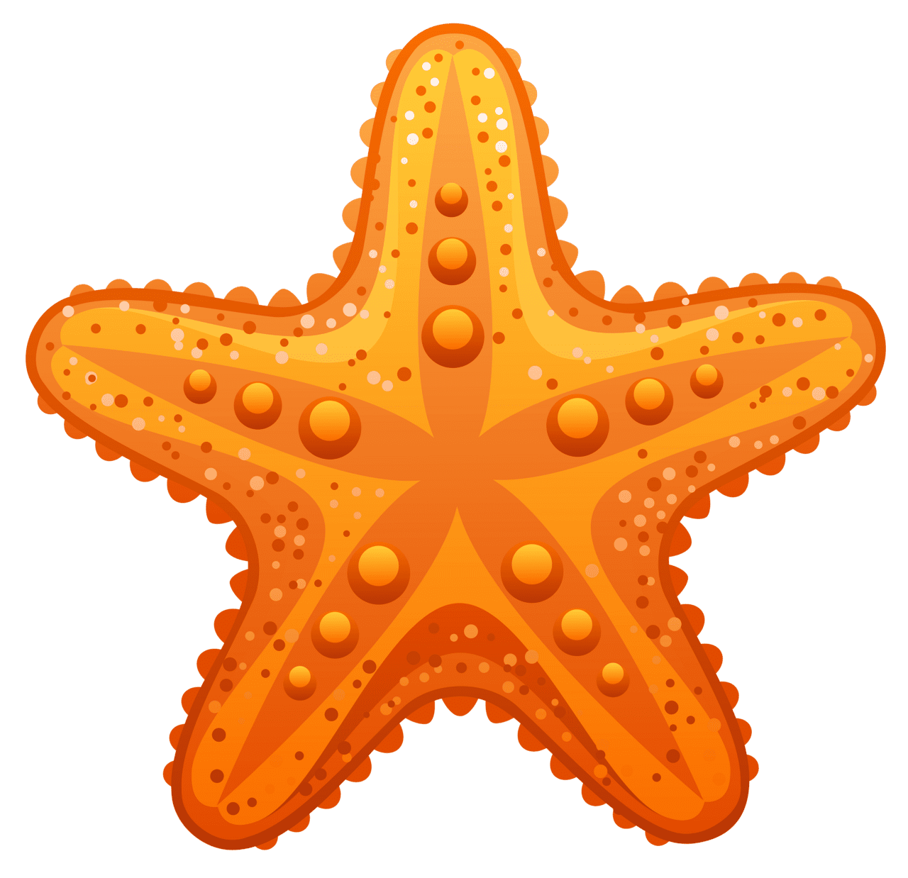 Starfish clipart image