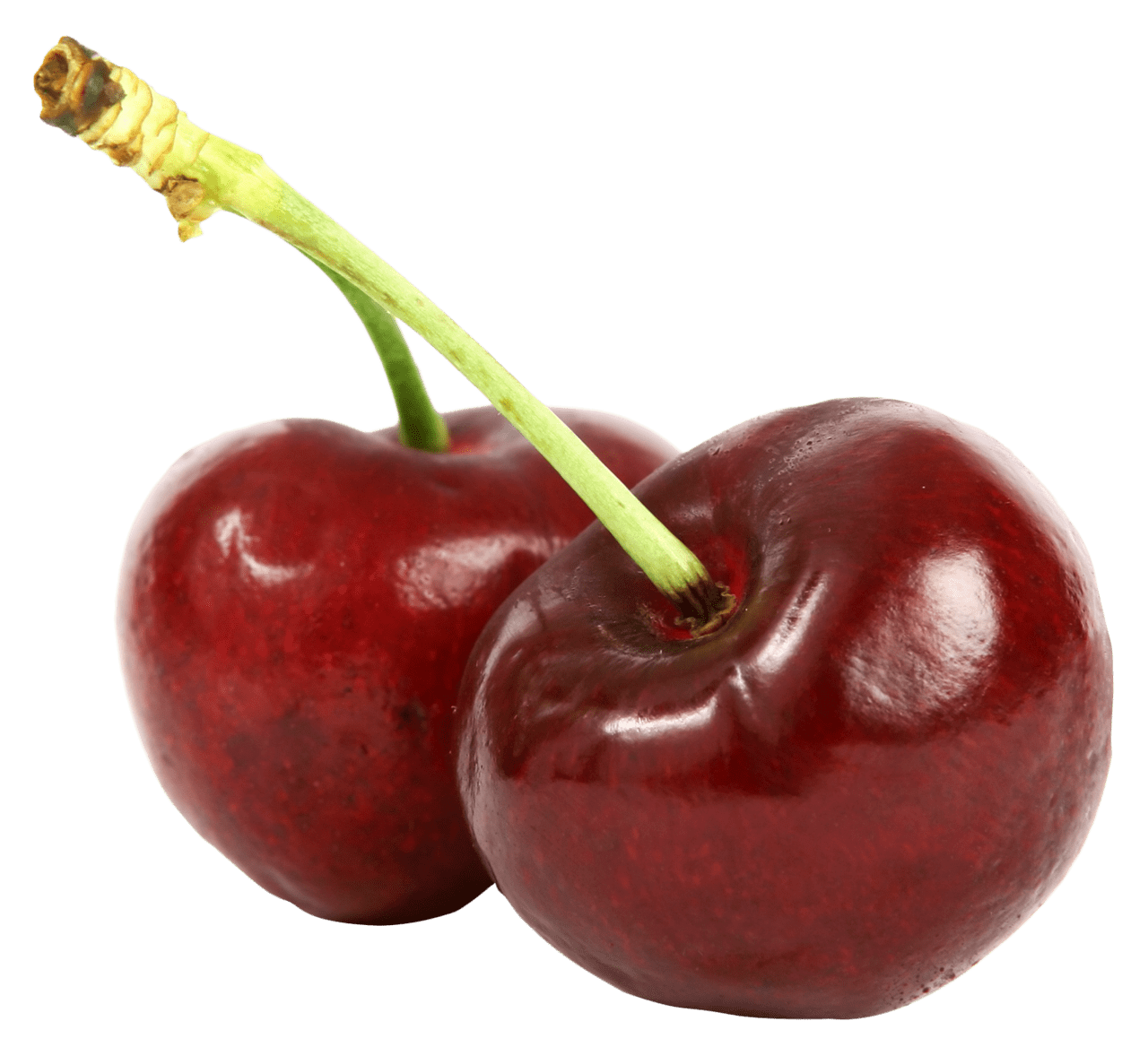 Cherry cherries clipart vector 3