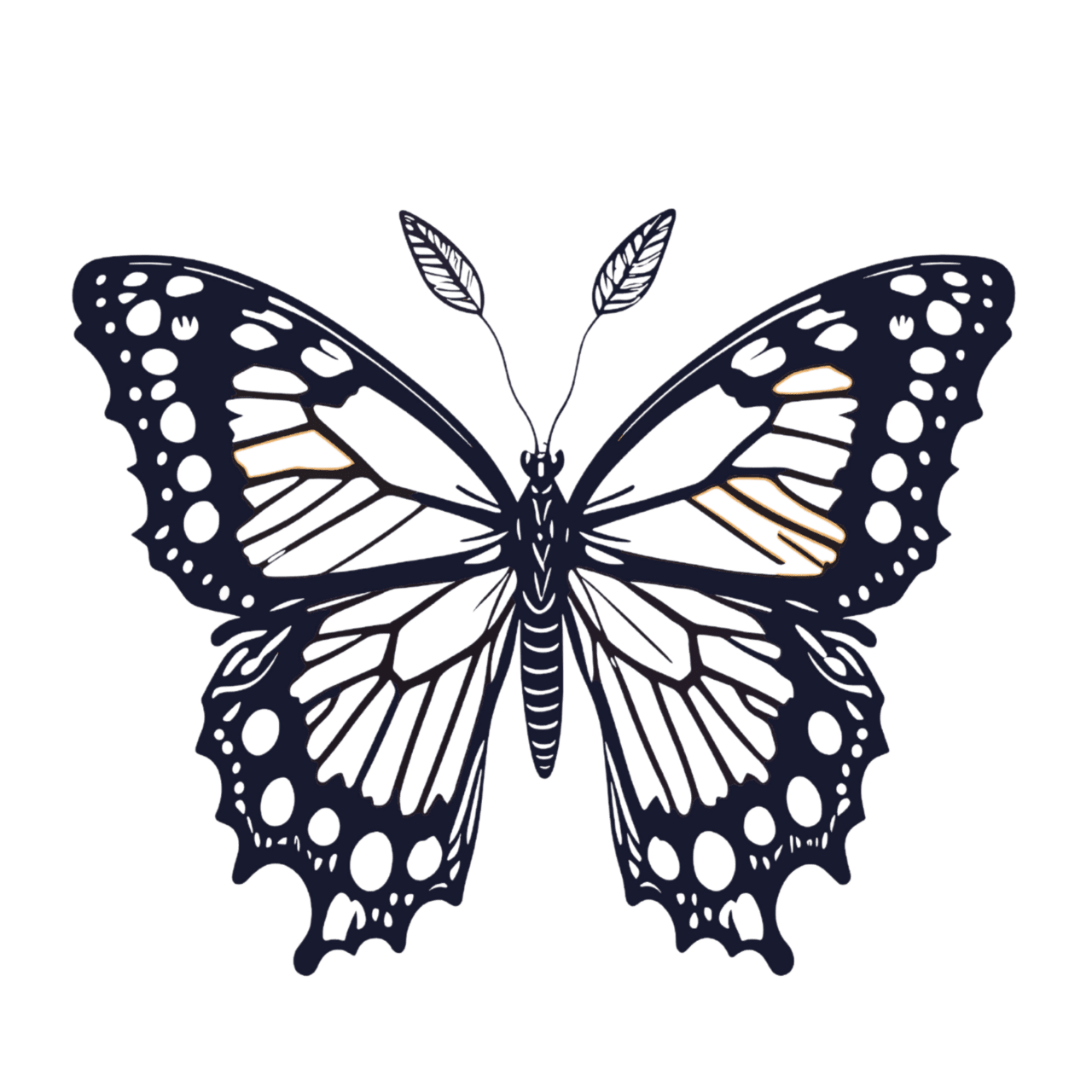 Butterfly black and white clipart background