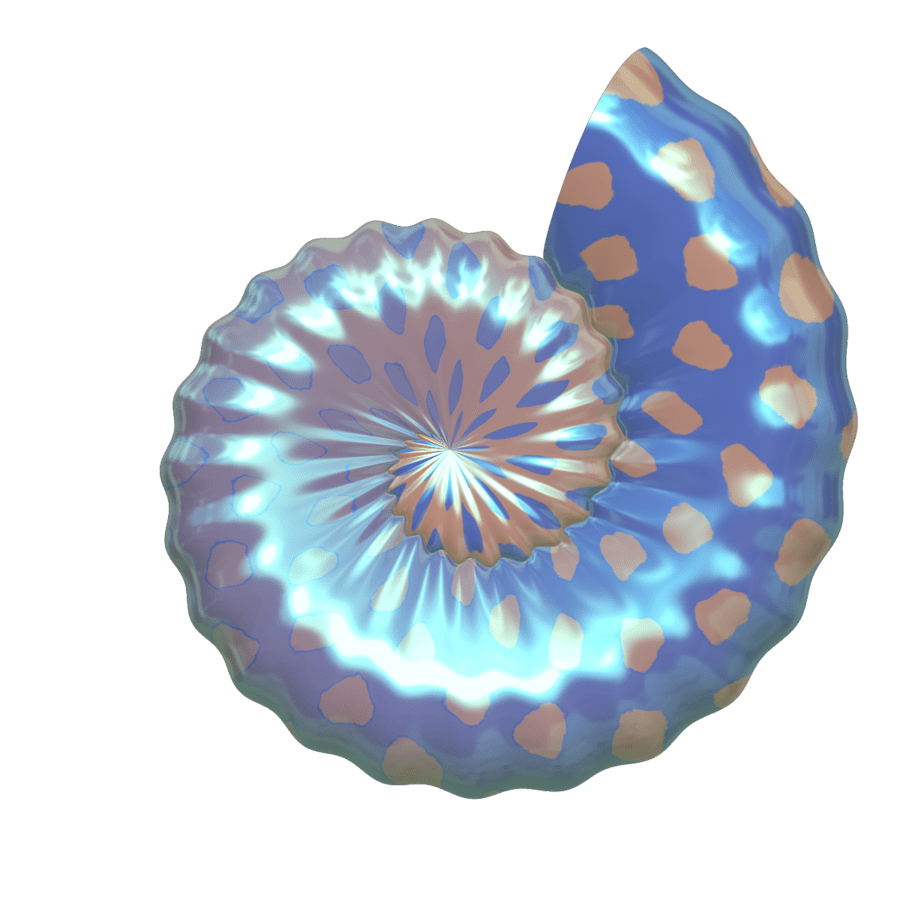 Seashell cliparts the logo