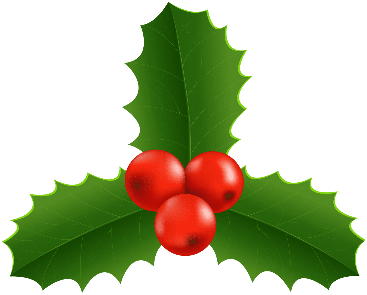 Christmas holly clipart image high quality images and