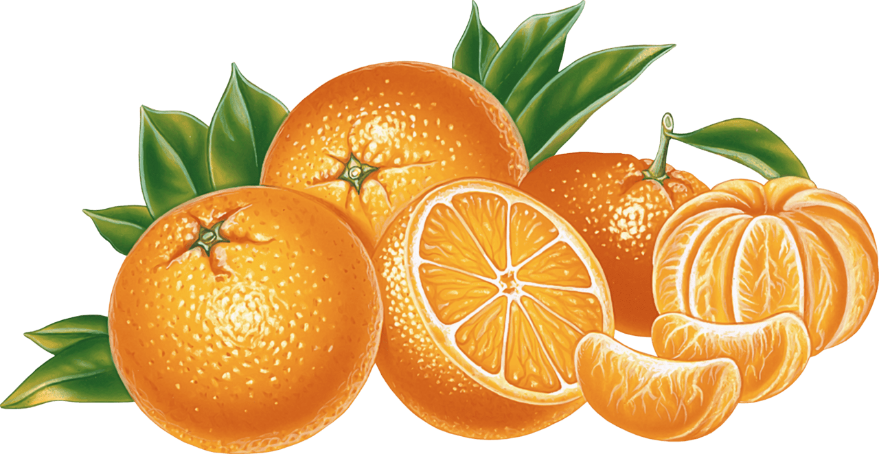 Orange clipart image 3